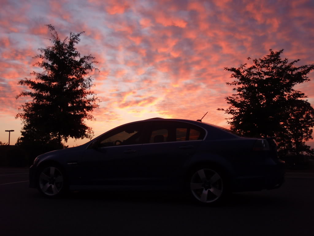 Name:  P8070068.jpg
Views: 195
Size:  92.3 KB