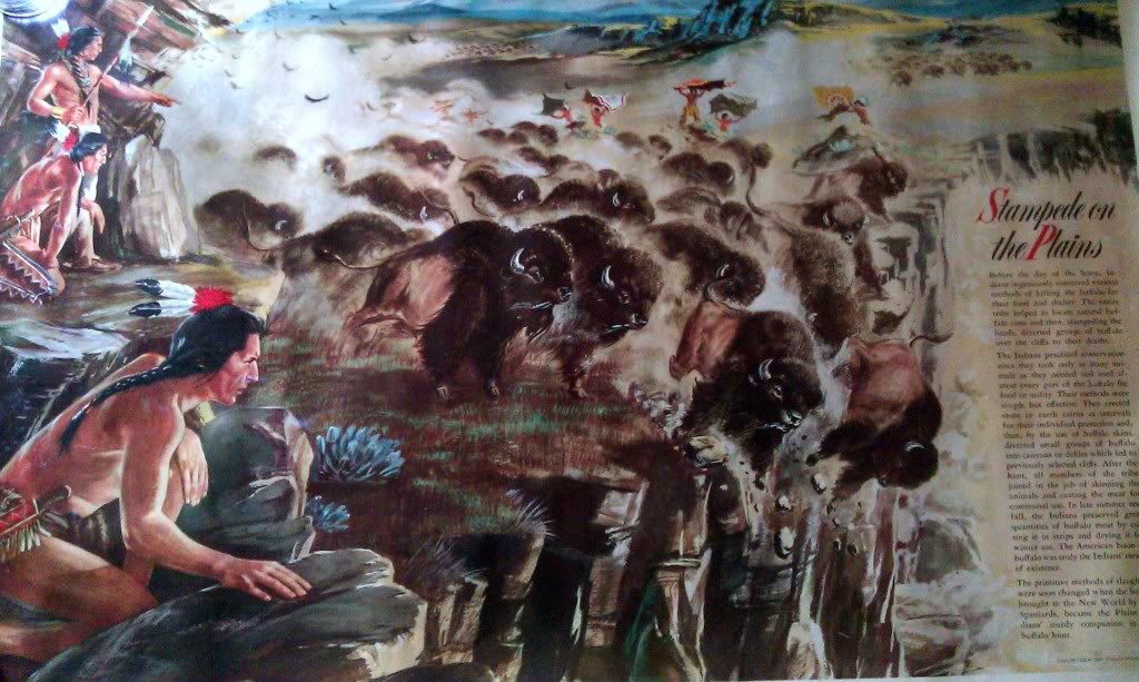 Name:  IMAG0164.jpg
Views: 166
Size:  141.5 KB